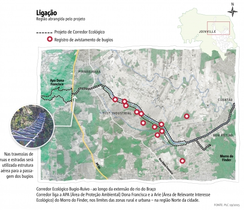 Projeto cria corredor ecológico para preservar primata em Joinville