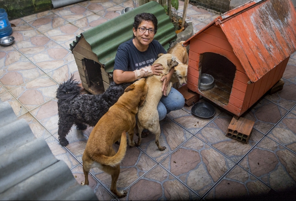 Rosa Villanueva e o marido cuidam de 30 cães, dois gatos e uma pomba de asa quebrada - Flátio Tin/ND