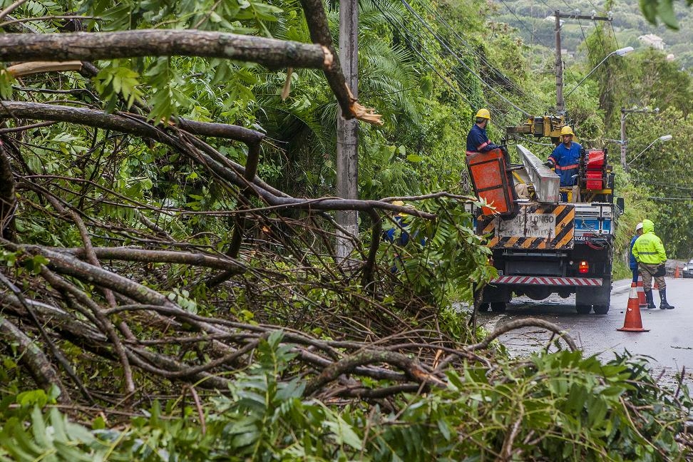 Ciclone causou queda de energia em cerca de 260 mil unidades consumidoras em Florianópolis - Flávio Tin/ND
