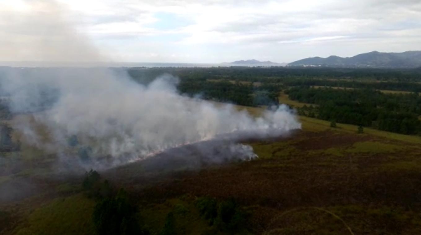 Incêndio atingiu novamente a Serra do Tabuleiro em Palhoça nesta terça - Arcanjo/Divulgação/ND
