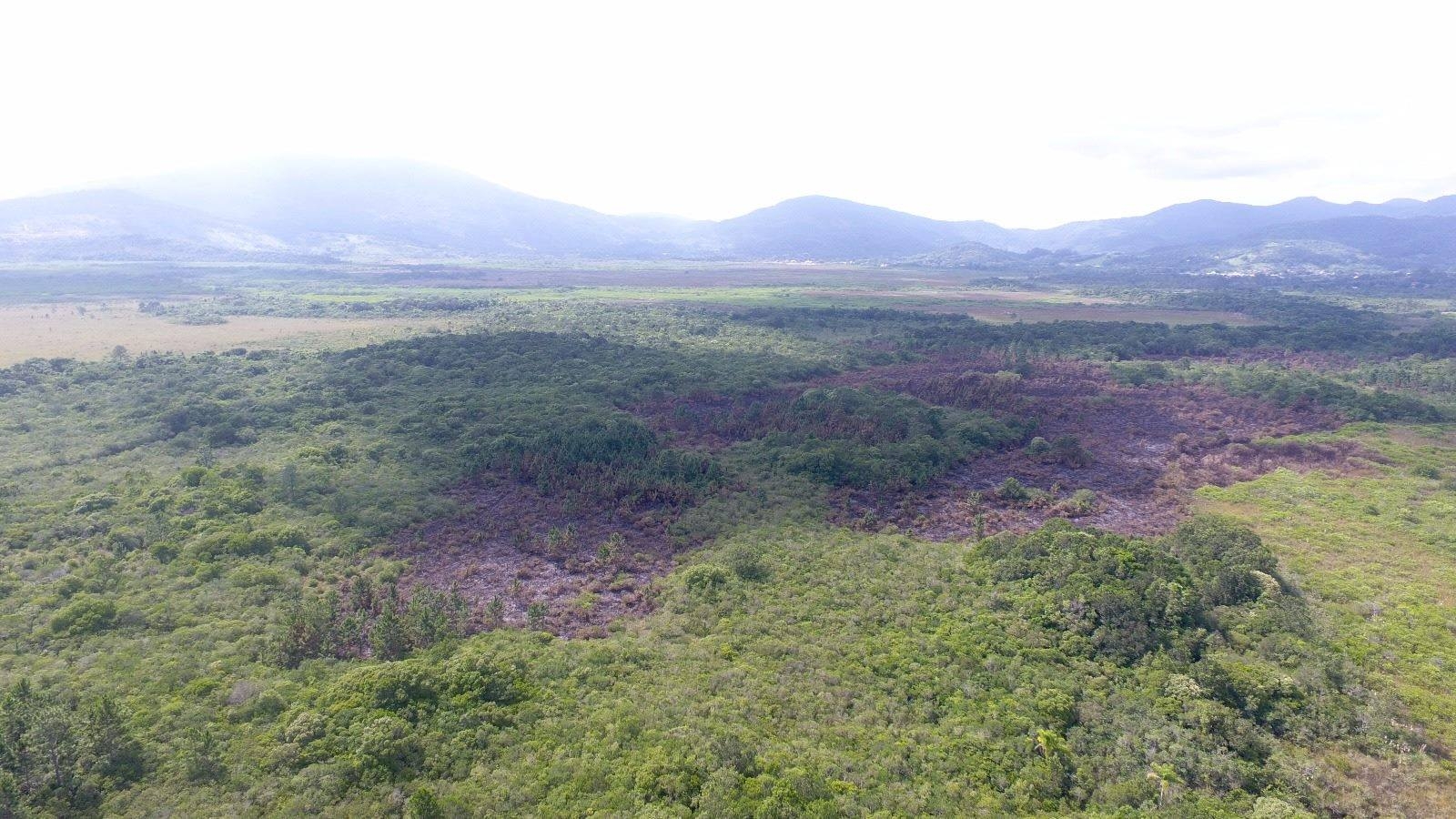 Incêndio foi registrado na semana passada em 11 hectares da área total de 217 hectares - Divulgação/ND