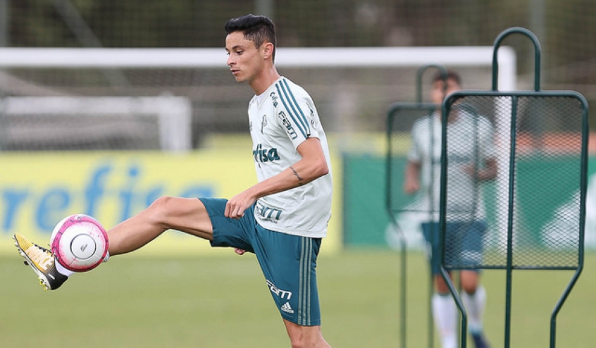 Diogo Barbosa sofre entorse em jogo treino e fará exames no Palmeiras