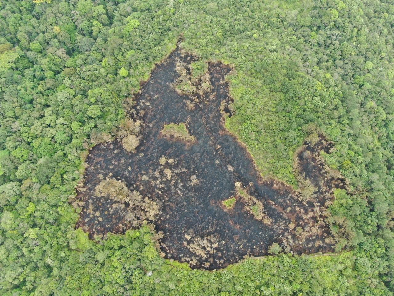 Pol Cia Civil Vai Investigar Causas Do Inc Ndio Em Parque Ambiental De