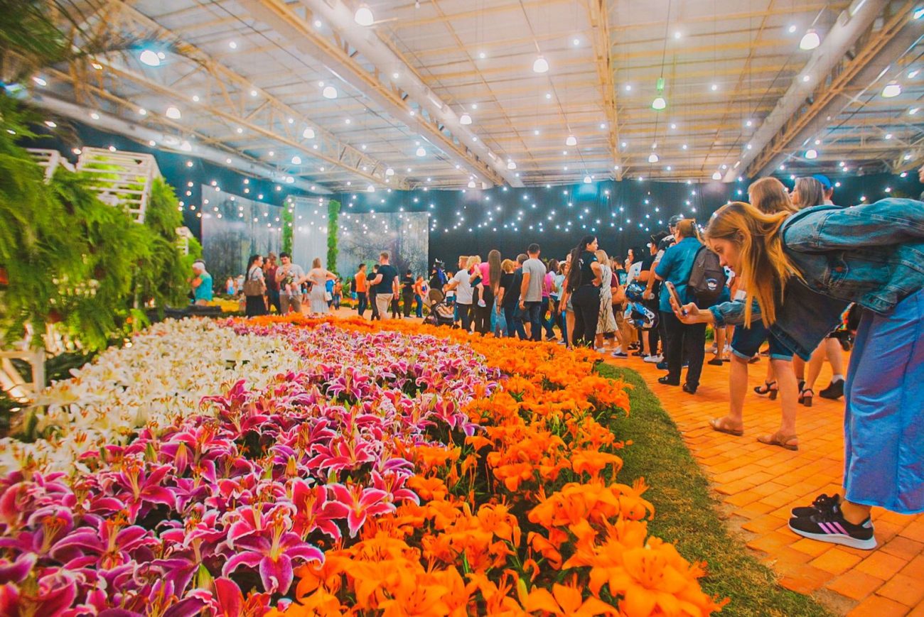 Ingressos Para A Festa Das Flores De Joinville J Est O Dispon Veis