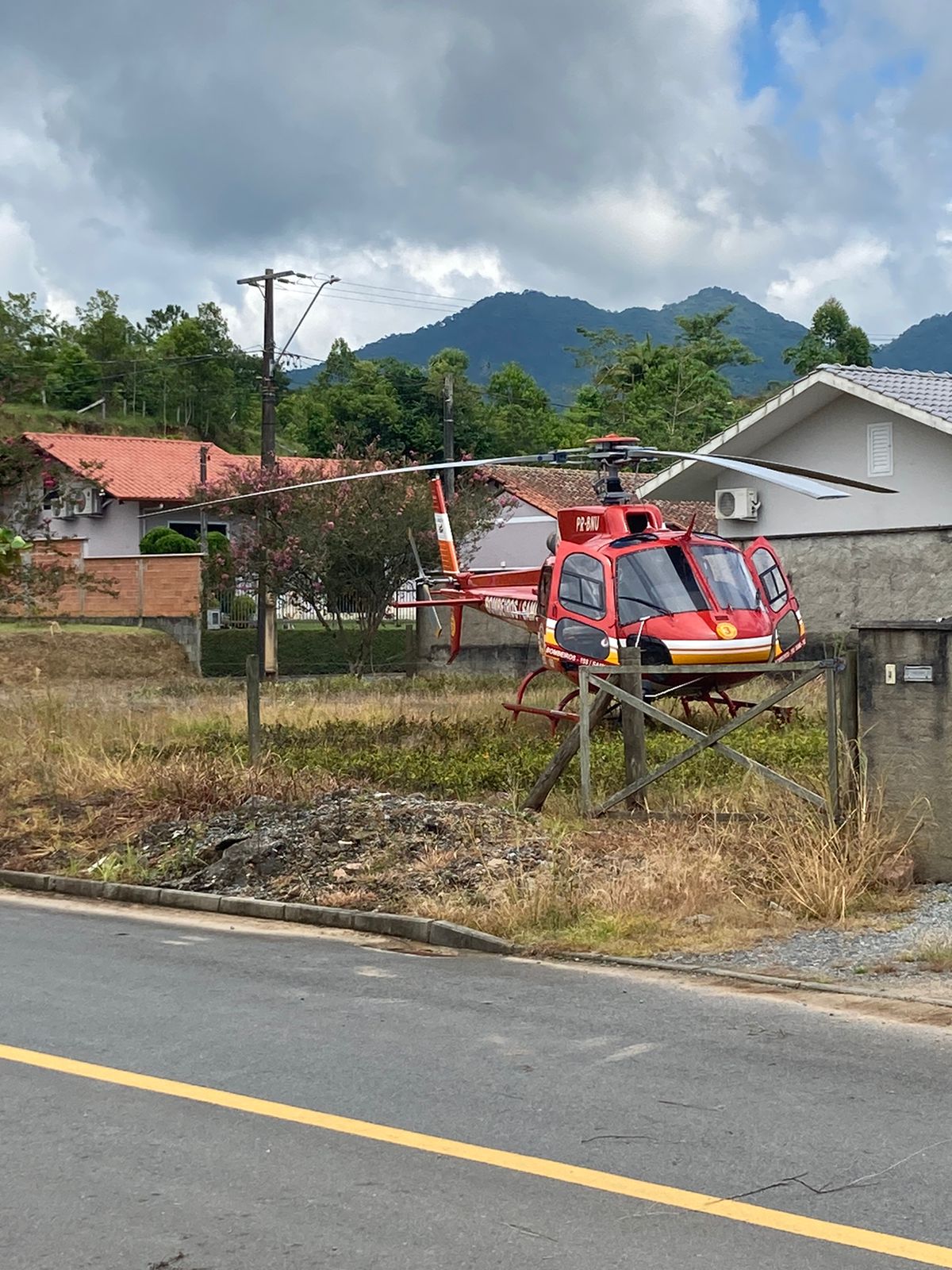 Idoso Atacado Por Abelhas Em Timb E Encaminhado De Helic Ptero