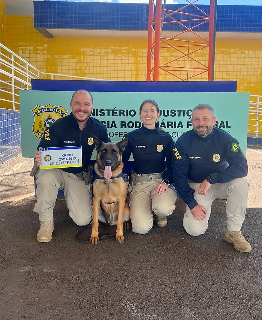 VÍDEO Cão farejador se aposenta da PRF em SC e ganha festa bolo de