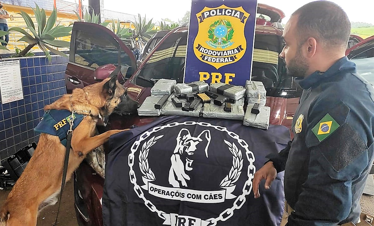 VÍDEO Cão farejador se aposenta da PRF em SC e ganha festa bolo de