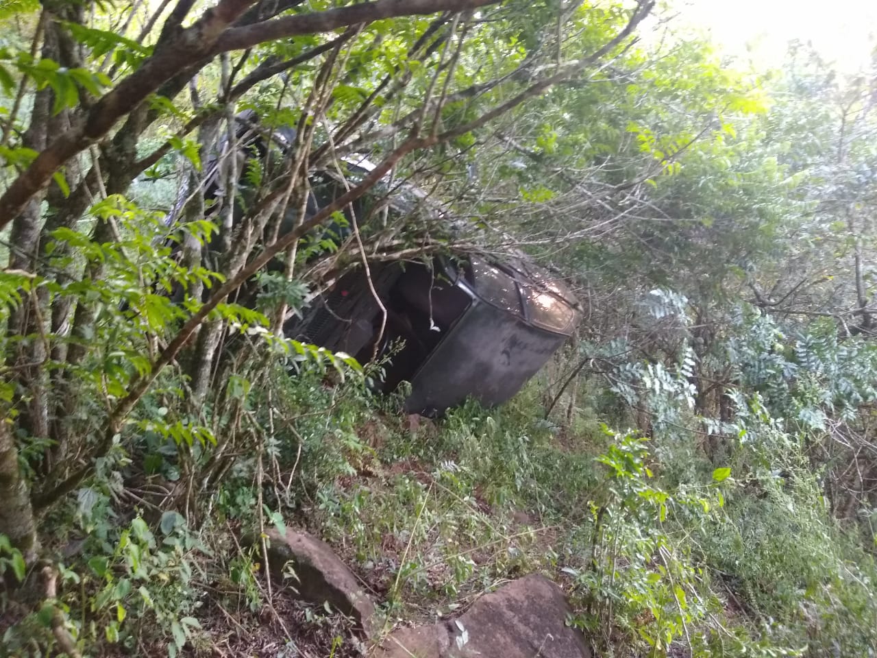 Carro cai 40 metros em ribanceira e fica preso em árvores no interior