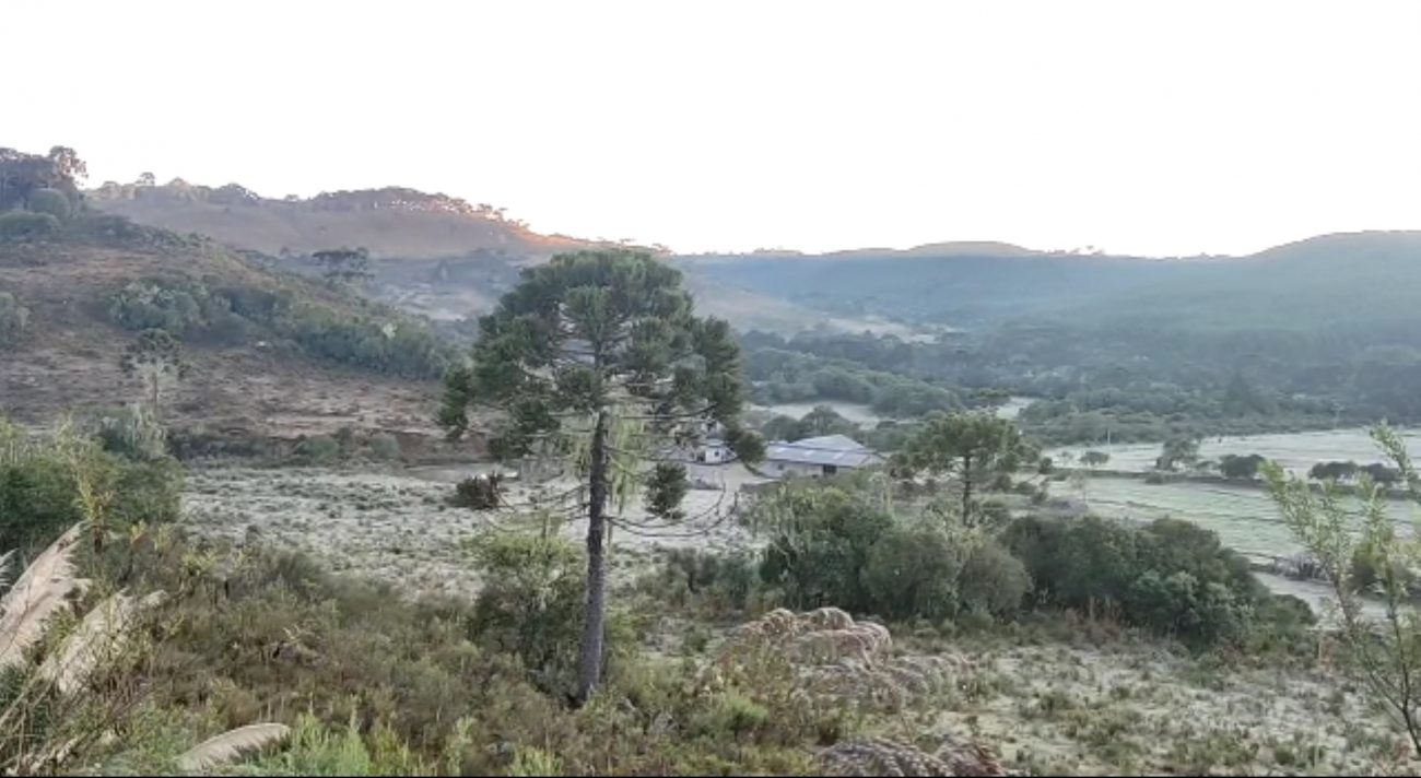 VÍDEO Geada em SC e temperaturas de 1C marcam amanhecer de sábado veja