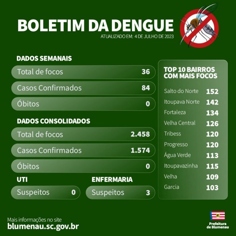 Blumenau Confirma Mais De 80 Casos De Dengue Em Apenas Uma Semana