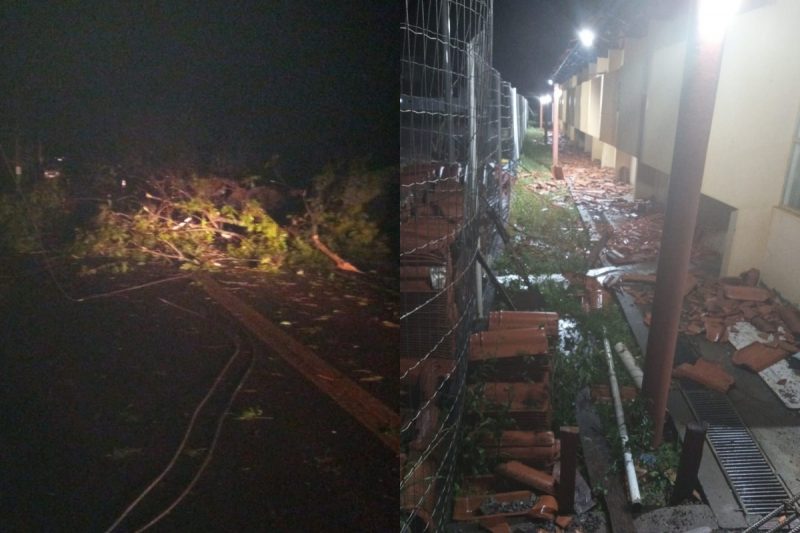 Tempestade destelha casas derruba árvores e postes em Saudades