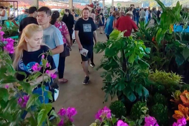 Feira Em Joinville Tem Plantas Produtos Da Agricultura Familiar E