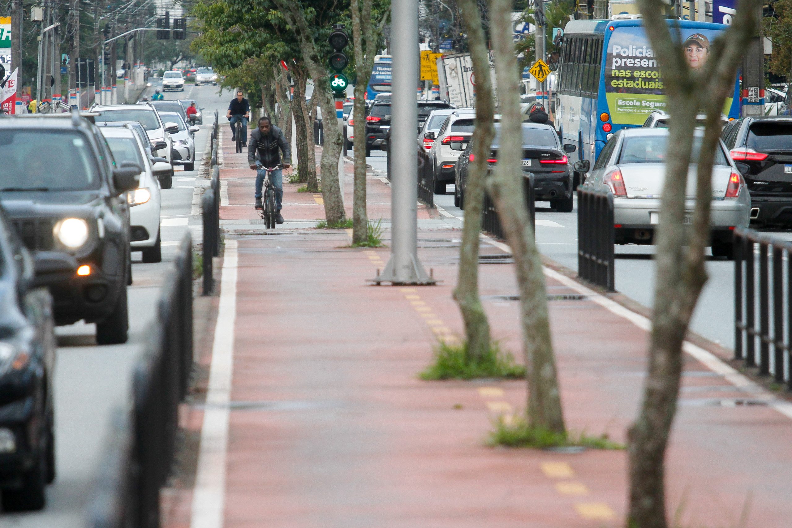 Conhe A A Avenida Madre Benvenuta Via Que Tem De Tudo De Um Pouco No