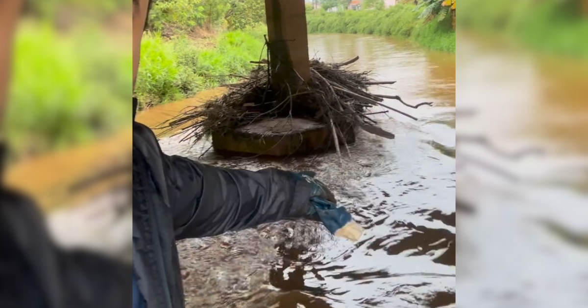 Chuva Forte Acende Alerta E Defesa Civil Monitora Pontos De Risco No