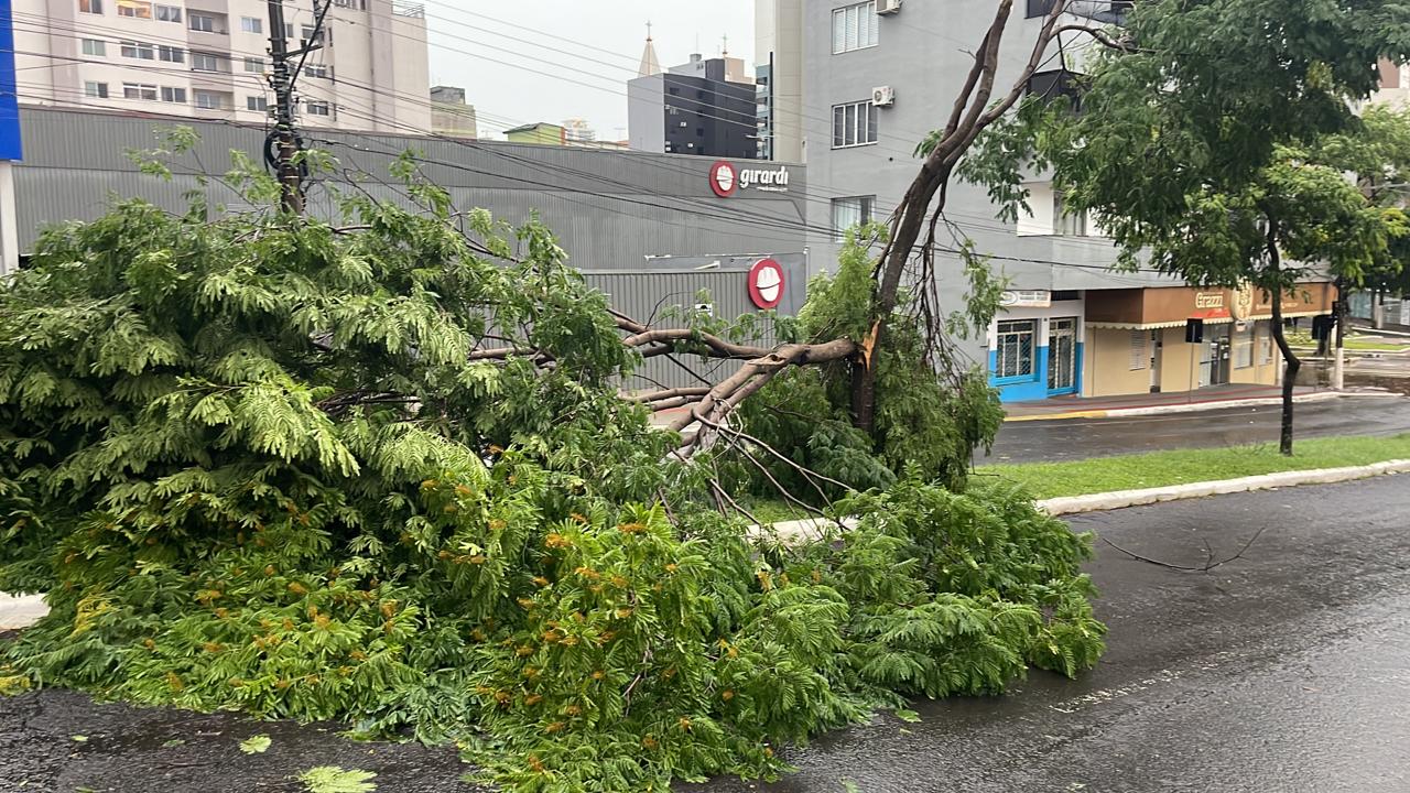 Temporal causa estragos em escolas de Chapecó veja quais