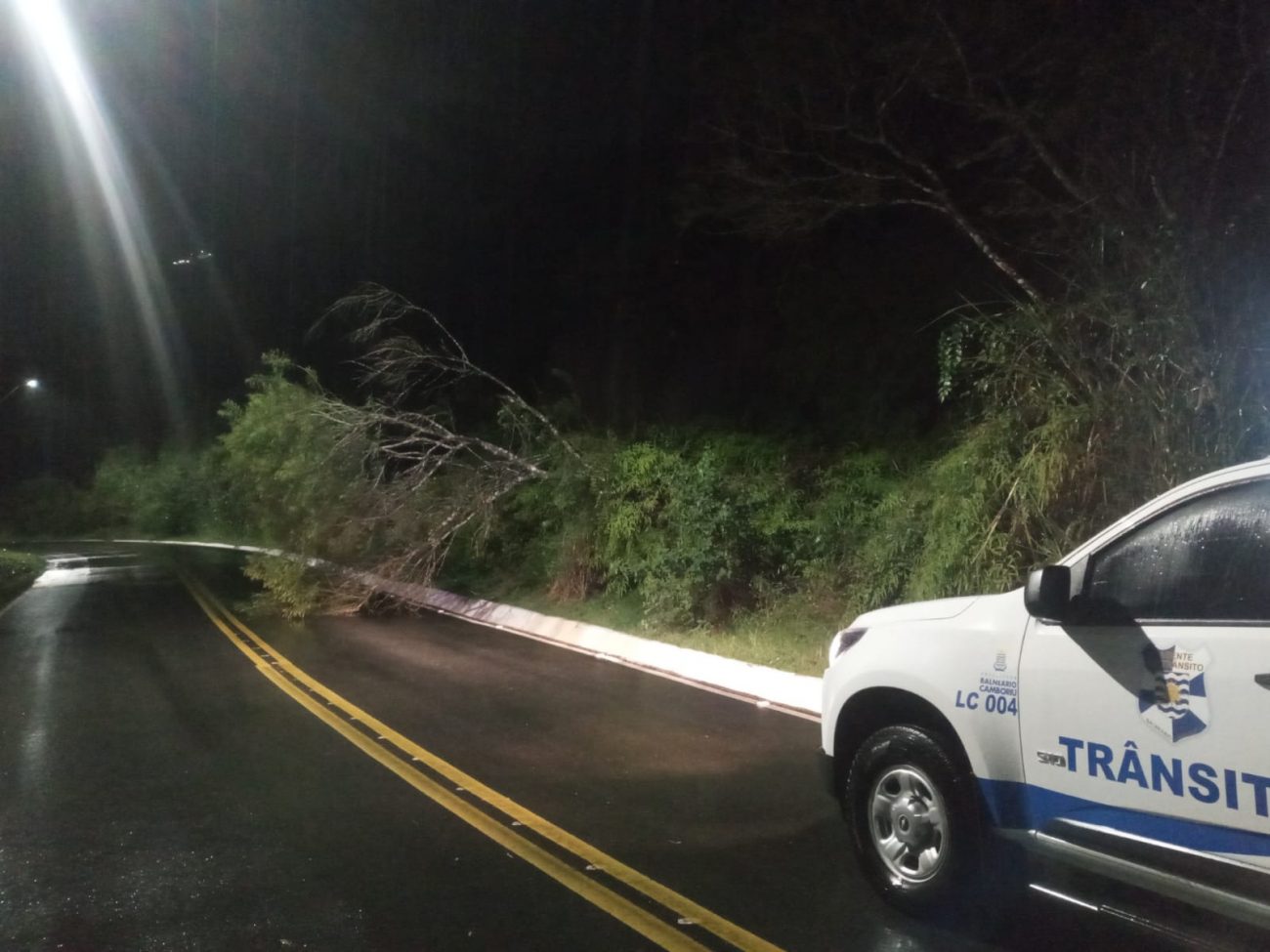 Chuva Causa Deslizamentos E Queda De Rvore Em Balne Rio Cambori Veja