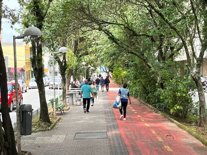 Como Anda A Vida Bo Mia E Pulsante Da Avenida Herc Lio Luz No Centro