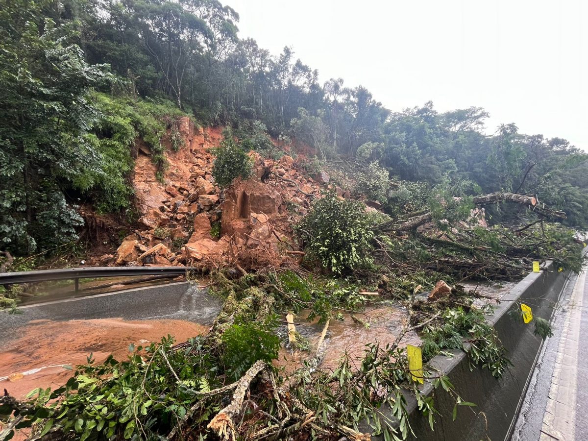 Interrupção da BR 101 no Morro dos Cavalos é mais um desastre na conta