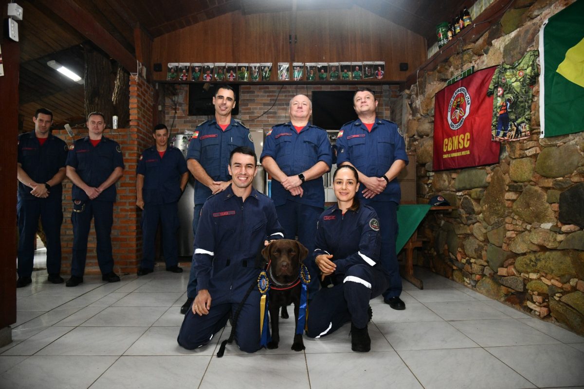 Soldado e labradora Magi ganham certificações pelo trabalho em Xanxerê