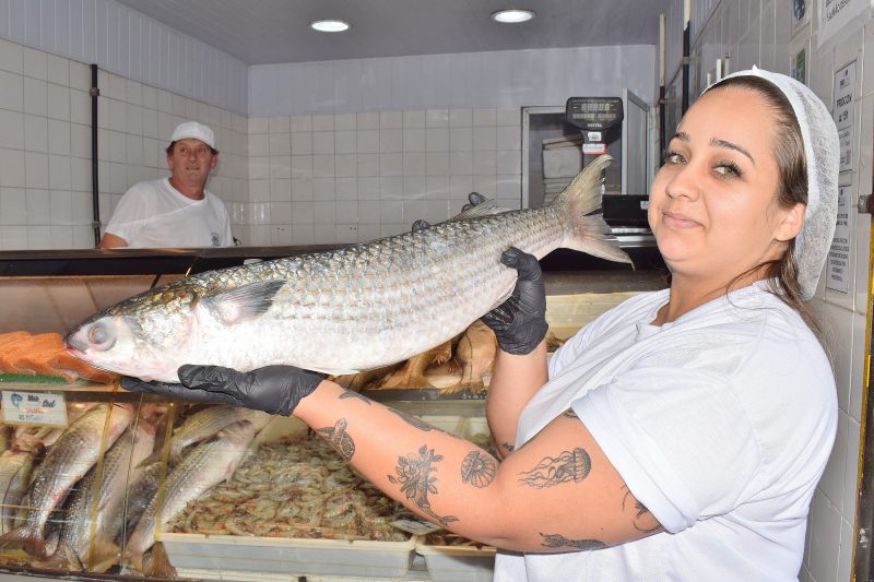 Mais De Toneladas De Tainha Chegam Aos Mercados Do Peixe De Itaja