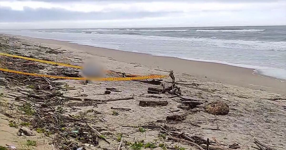 Corpo Encontrado Em Praia De S O Francisco Do Sul