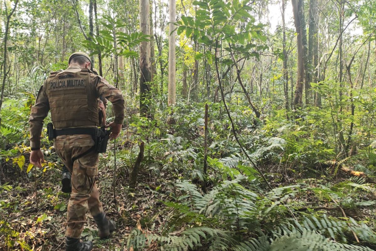 Quem Era A Mulher Encontrada Morta Marcas De Tiro Na Cabe A Em Sc