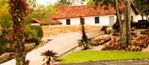Demolida a casa de Max Hablitzel, produtor de orquídeas e bromélias na  Fazenda do Max, em São José | ND Mais