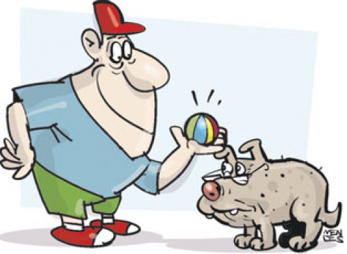 Soluço em cachorro idoso Clearance