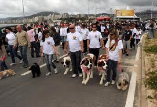 cão