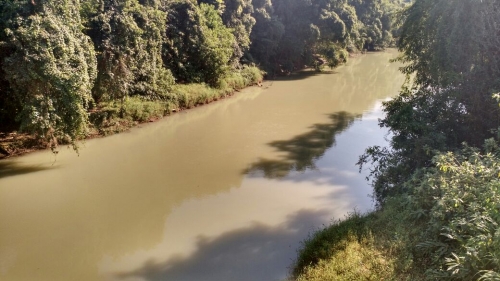 Rio Itapocuzinho em Jaraguá do Sul é o rio em que homem desapareceu enquanto pescava