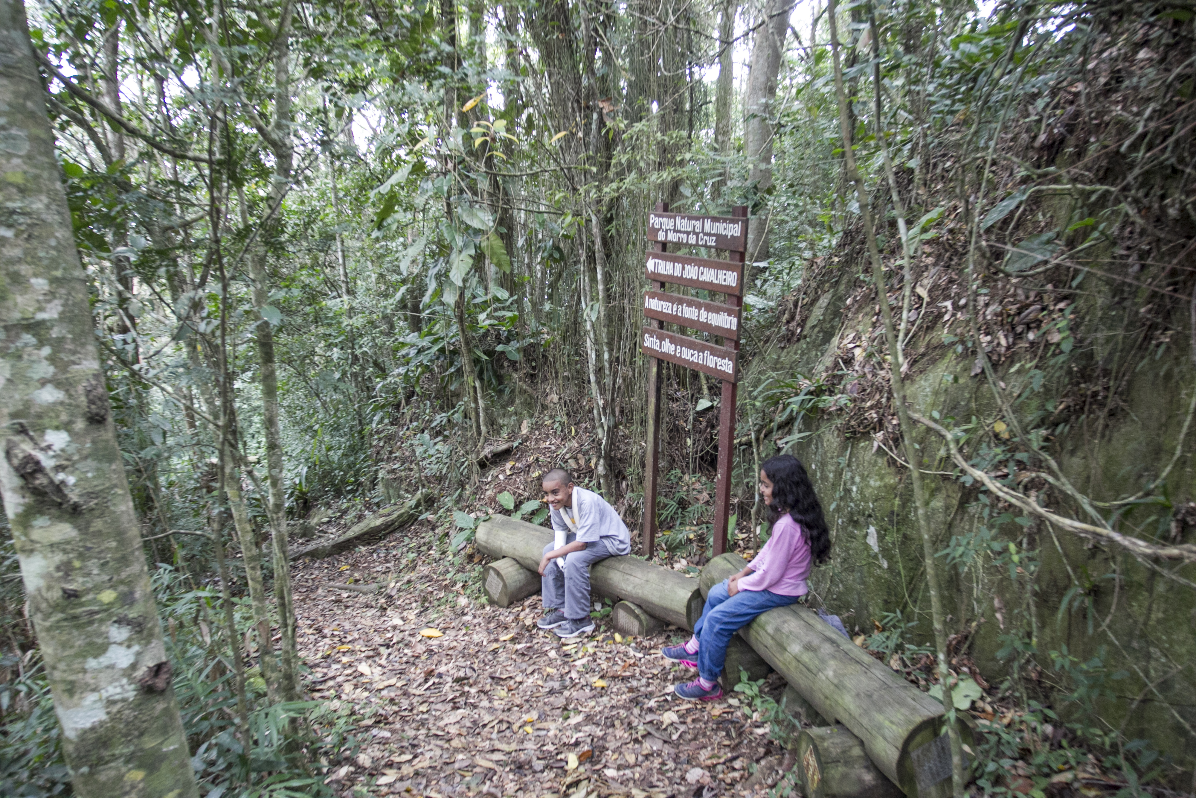 Parque Natural Municipal do Morro da Cruz conta com trilhas em meio ao verde – Foto: Marco Santiago