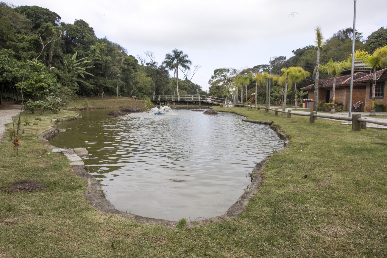 Parque do Morro da Cruz é destaque no Caminhos da Natureza ND Mais