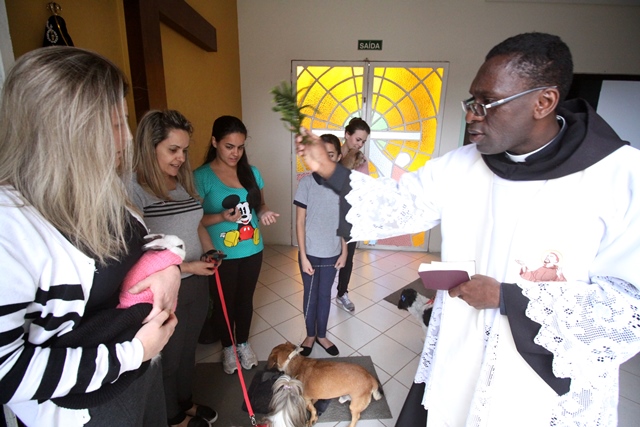 Bênção aos animais marca Dia de São Francisco de Assis em Joinville e região; veja programação
