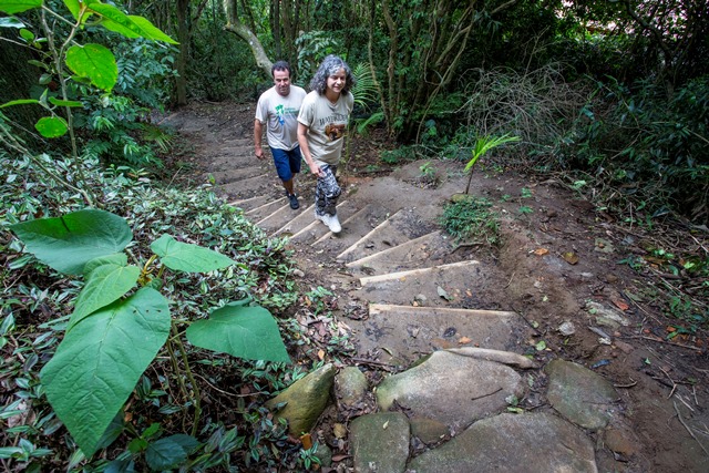 Trilha da Lagoinha, escadas r&uacute;sticas com degraus de eucalipto facilitam a caminhada – Foto: Fl&aacute;vio Tin/ND