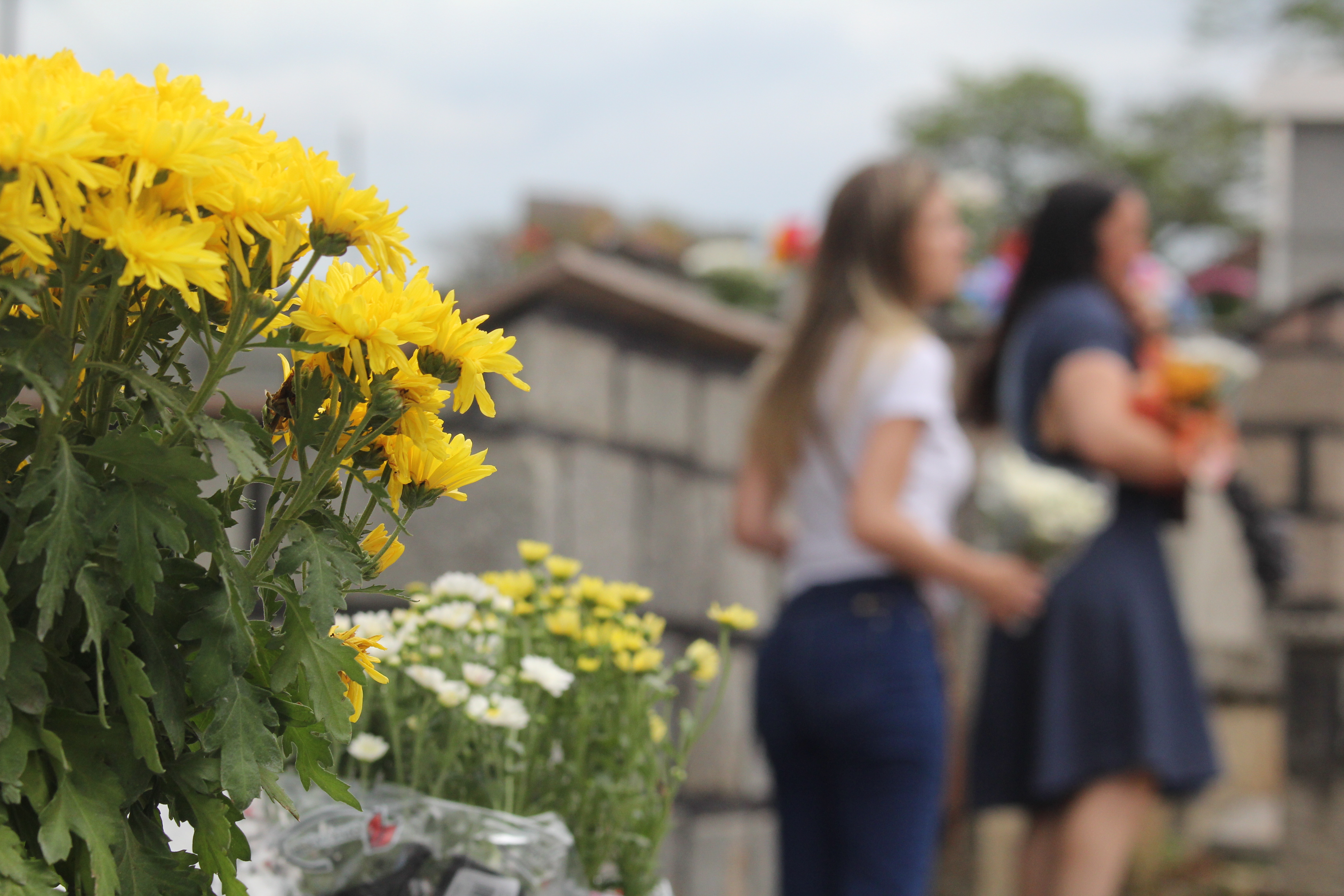 Câmara de Vereadores vai debater tarifas dos serviços funerários em Joinville