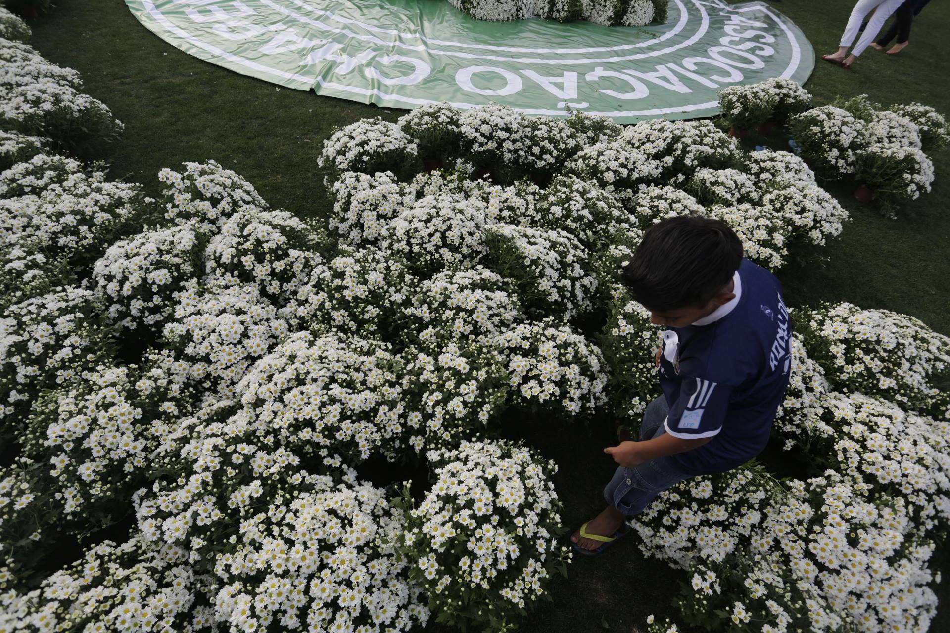 Dia da tragédia da Chape será marcado por ‘Evento Pela Vida’ com artistas 