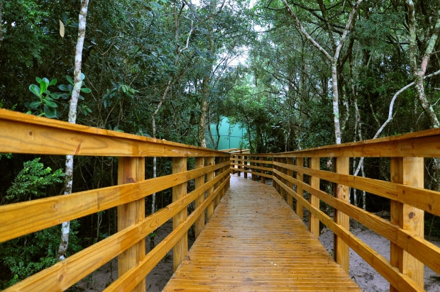 Trilha Ecológica do Parque do Rio Vermelho, em Florianópolis – Foto: Fatma/Divulgação