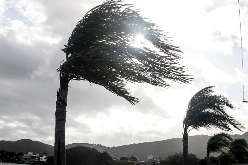 Rajadas de vento de até 70 km/h são esperadas na faixa costeira do Estado nesta terça-feira (17) – Foto: Marco Santiago/Arquivo/ND