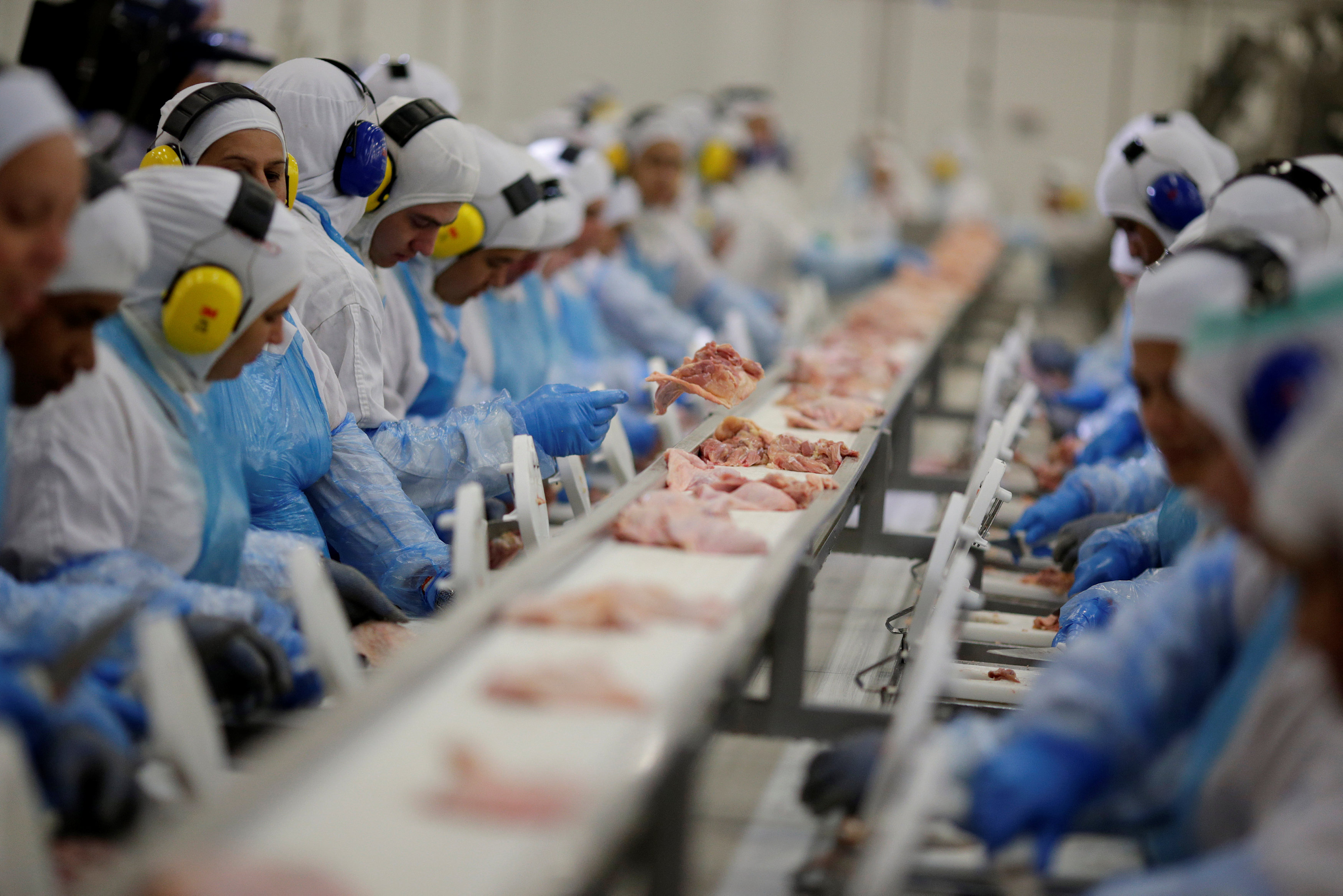 SC tem crescimento de 11% nas exportações de carnes e abre novo mercado no México