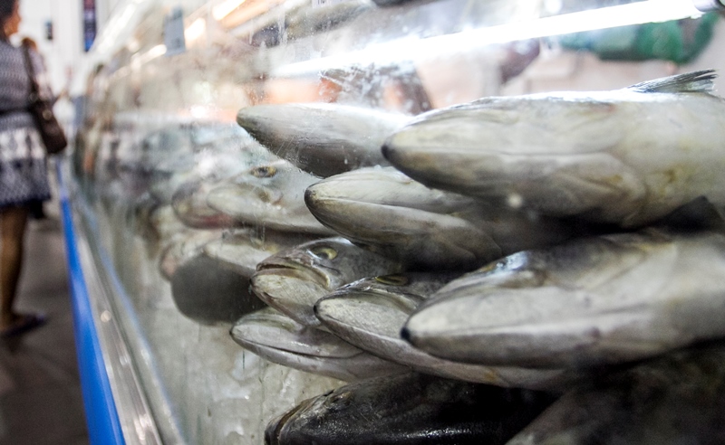 Preços de frutos do mar têm diferença de 140% em Florianópolis; veja valores