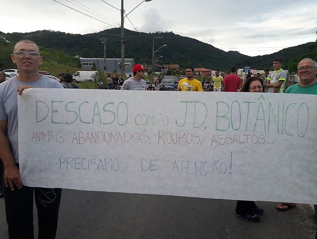 Moradores reclamam do descaso com o bairro e do abandono dos animais nas ruas - Divulgação/ND