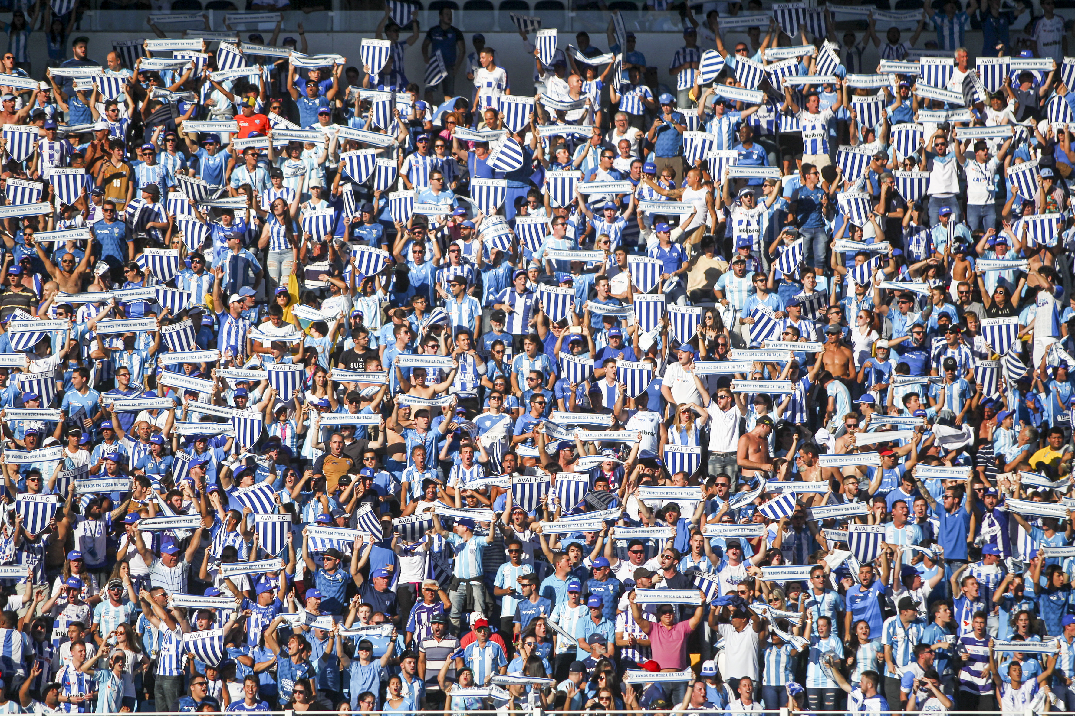 Governo de SC diz o que falta para liberação de 100% do público em último jogo do Avaí