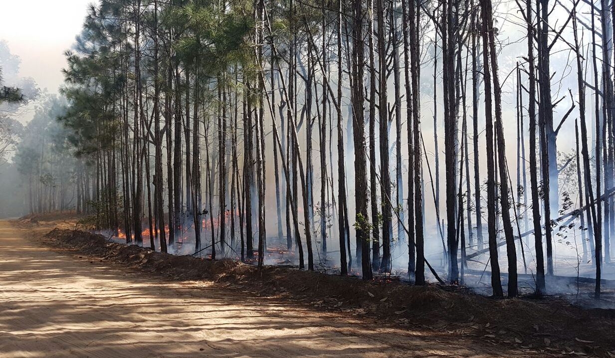 Novos focos de inc&ecirc;ndio foram identificados nesta quarta-feira - Pol&iacute;cia Militar Ambiental/Divulga&ccedil;&atilde;o