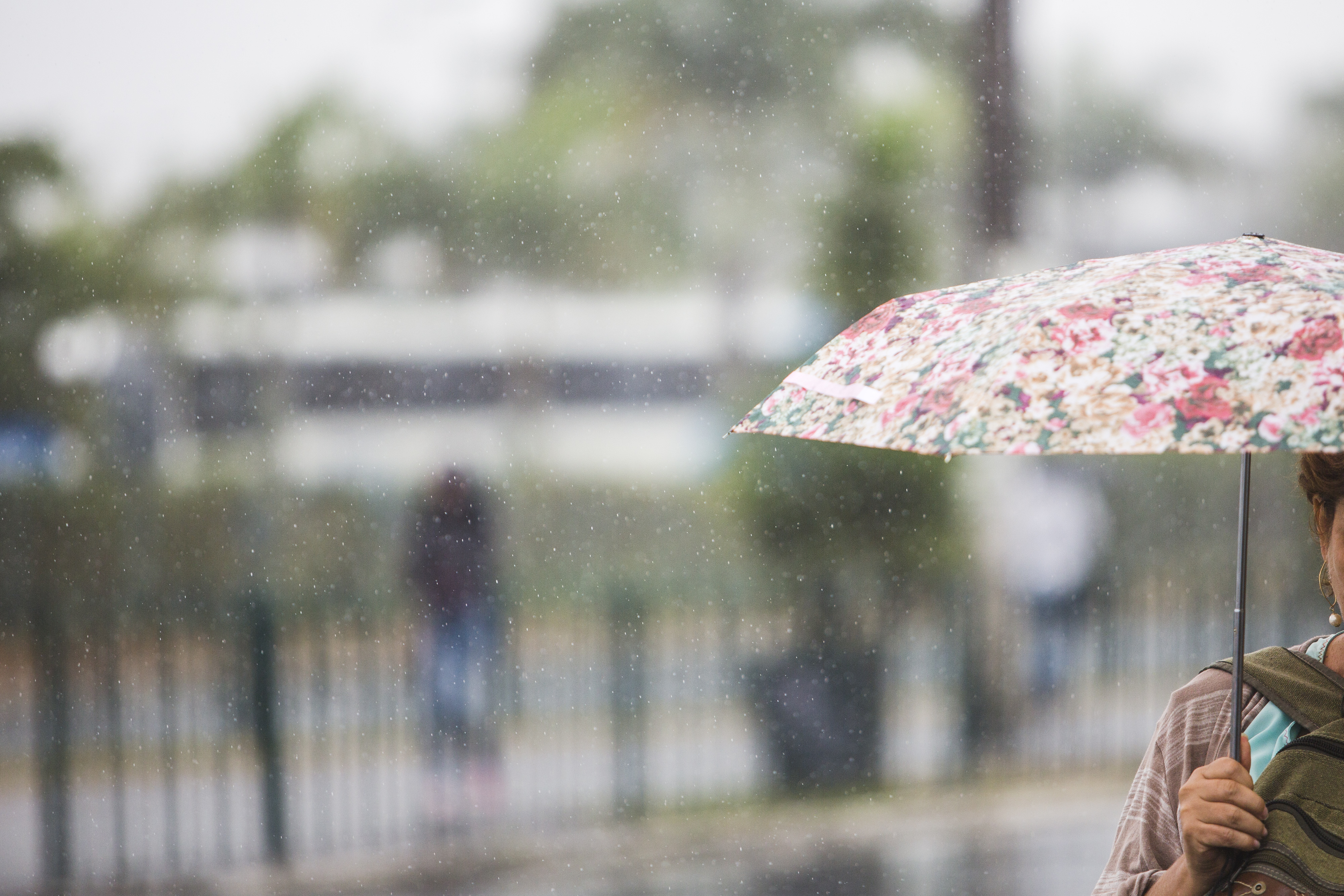 Com tempo instável, quarta-feira terá chuva volumosa em diversas partes de santa catarina