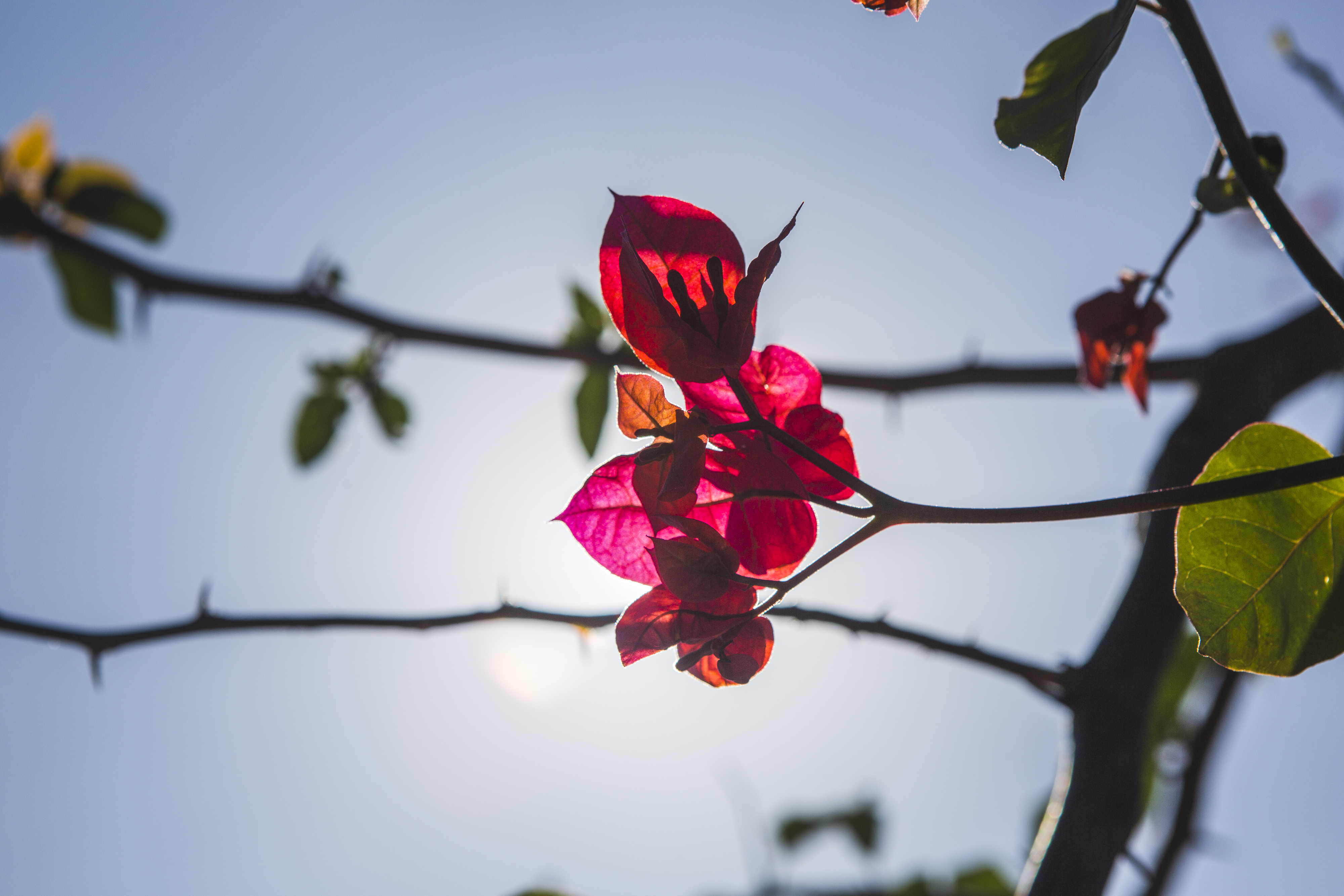La Niña e temperaturas abaixo da média: veja como será a primavera no Litoral Norte de SC