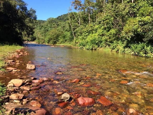 No Parque das Nascentes h&aacute; 240 esp&eacute;cies de aves e uma floresta com 360 esp&eacute;cies de &aacute;rvores e arbustos - Divulga&ccedil;&atilde;o/ND