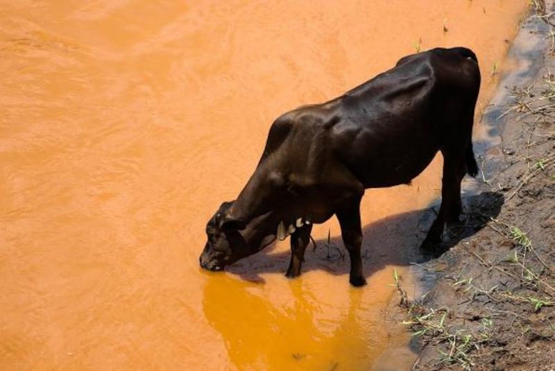 Rio Gualaxo do Norte, no distrito de Barra Longa, dois anos após a tragédia do rompimento da Barragem de Fundão, da mineradora Samarco