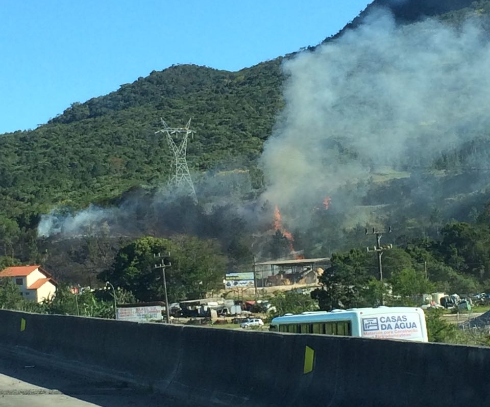 Chamas atingiram terreno próximo do Morro do Cambirela, em Palhoça - Alisson Souza/ ND