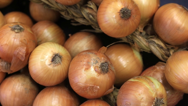 Festa Nacional da Cebola foi transferida para 2021: Secom SC/Divulgação