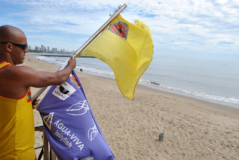 Bandeira lilás identifica presença de águas-vivas nas praias de SC